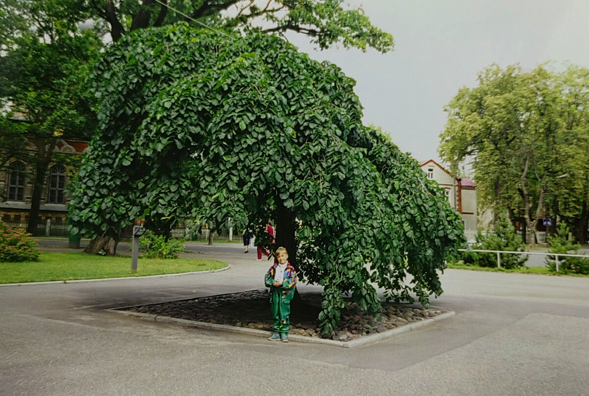 Фото и семейного архива. Пярну(Эстония) 1999 год.