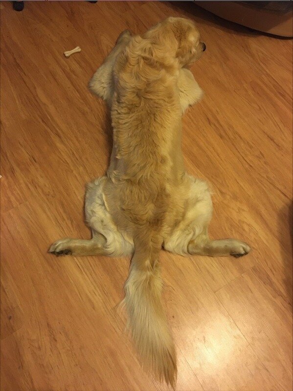 Грустный вечер