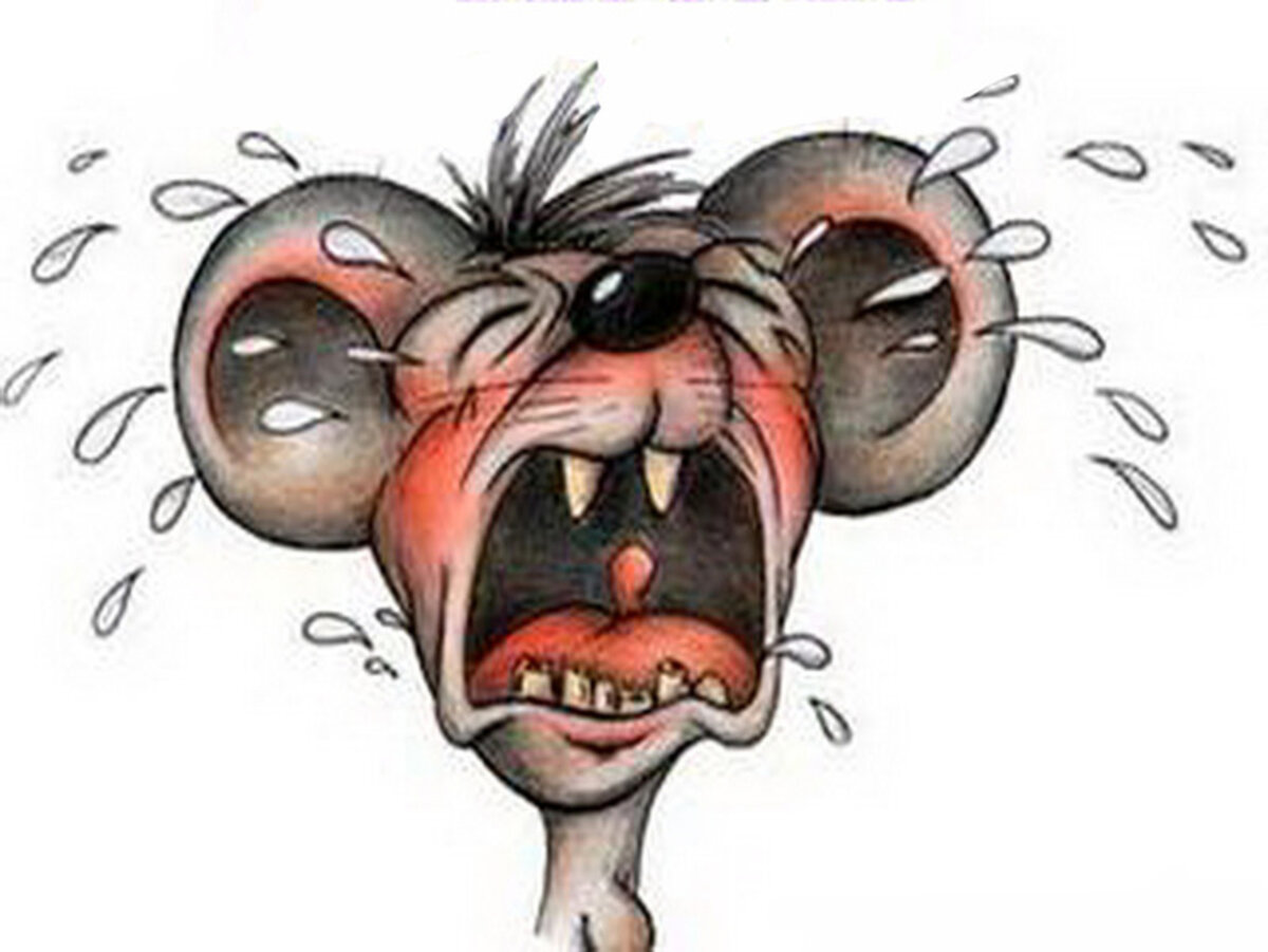 яндекс картинки