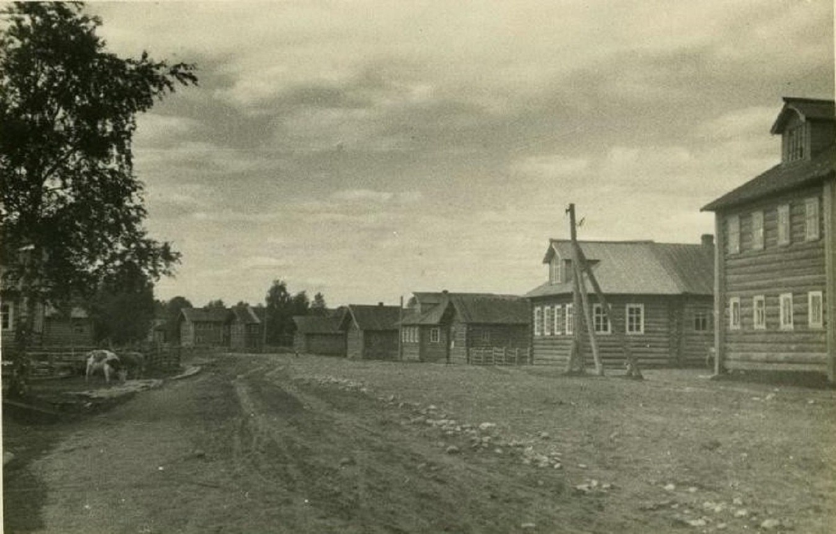 деревня Федово