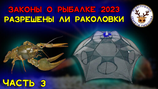 Правила рыболовства 2023. Запрет на раколовки. Ошибка в законе? Ловля рядом с сетями. По полочкам разложу. ЧАСТЬ 3