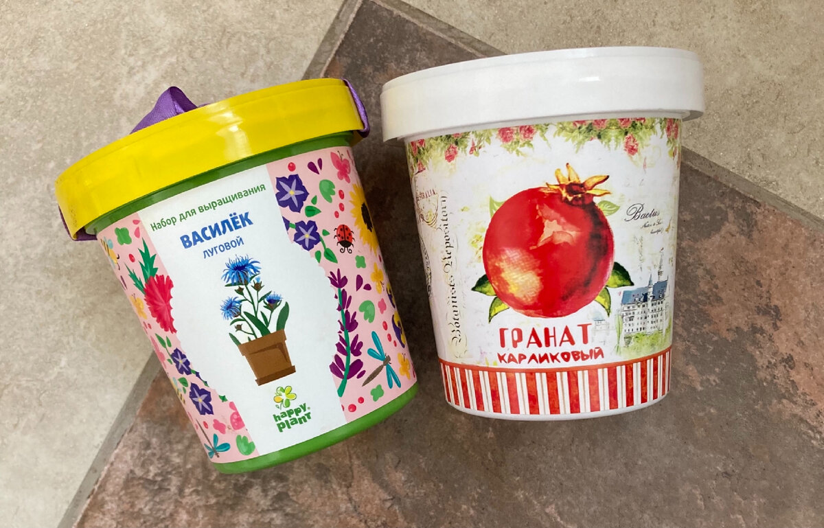 Наборы для выращивания растений