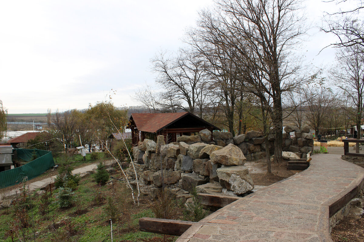 Аллеи парка