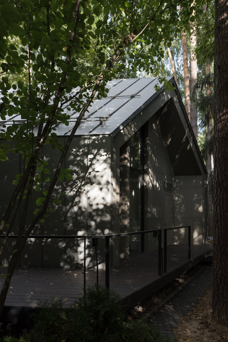 Цинк - титановый фасад и кровля