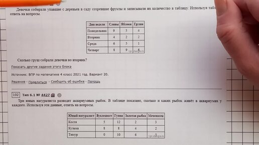 ВПР-2023. Математика, 4 класс. Задание №6. Работа с таблицами, графиками, диаграммами