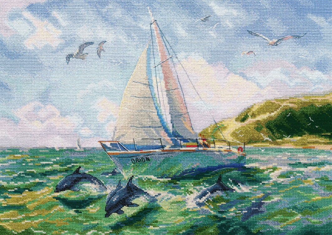 Море, чайки и дельфины.