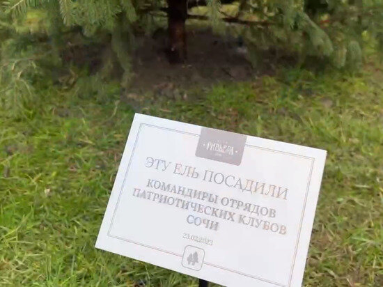     фото: пресс-служба парка «Ривьера»