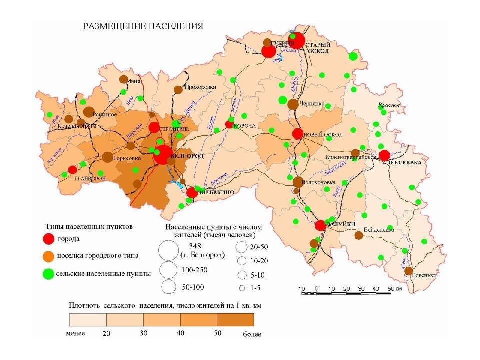 Белгород население 2023. Плотность населения Белгородской области по районам. Карта плотности населения Белгородской области. Плотность населения Белгорода. Карта Белгорода населения.