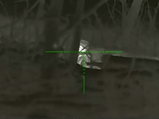     источник фото: скрин видео