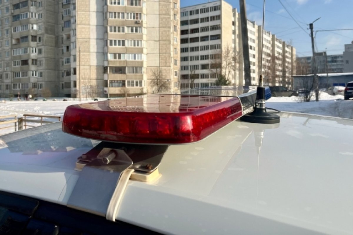    Пьяный житель Тверской области устроил погоню с полицейскими