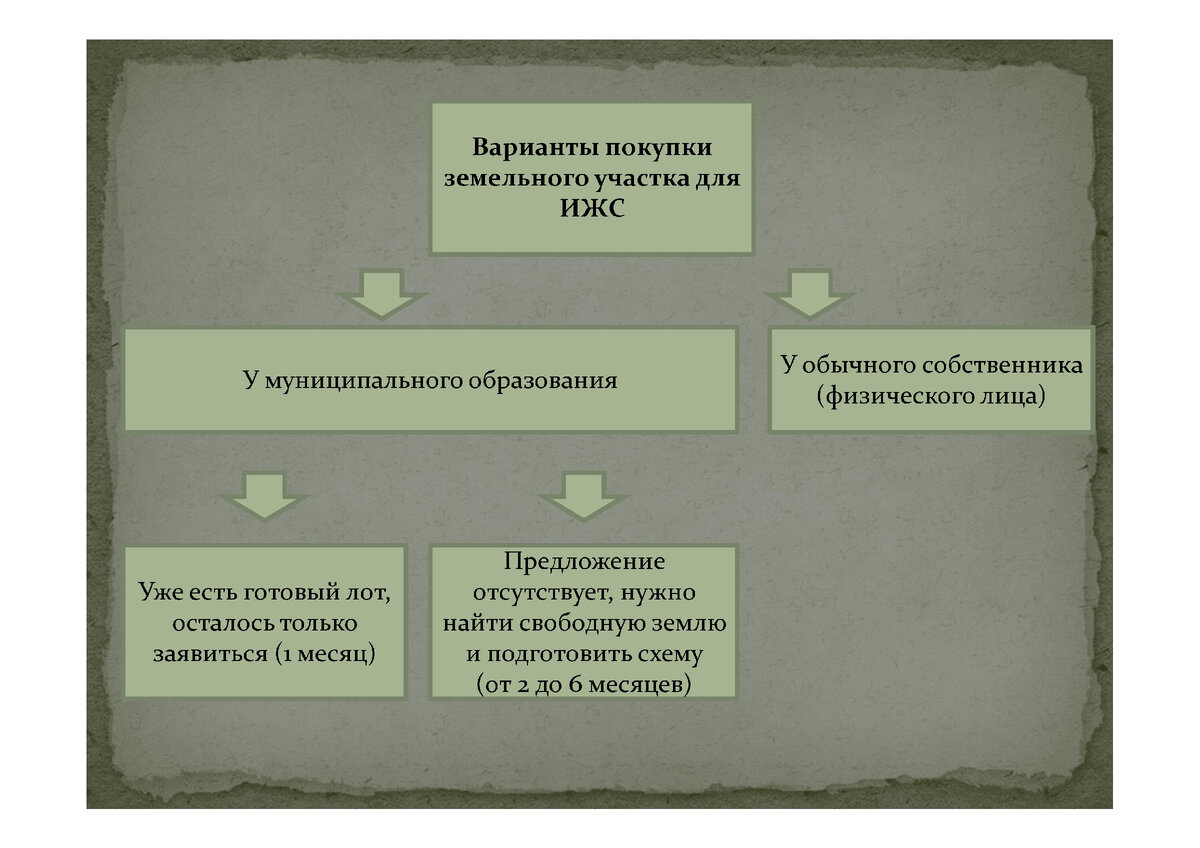 Фото автора статьи