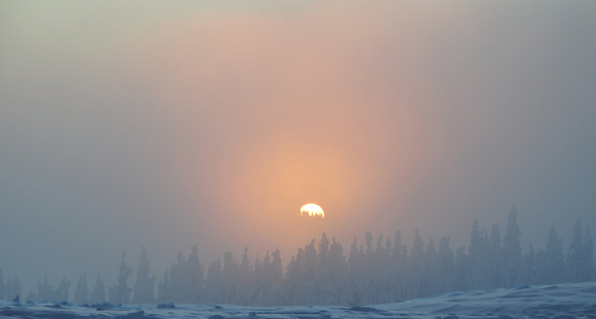 (Изображение взято из публиного источника.)
