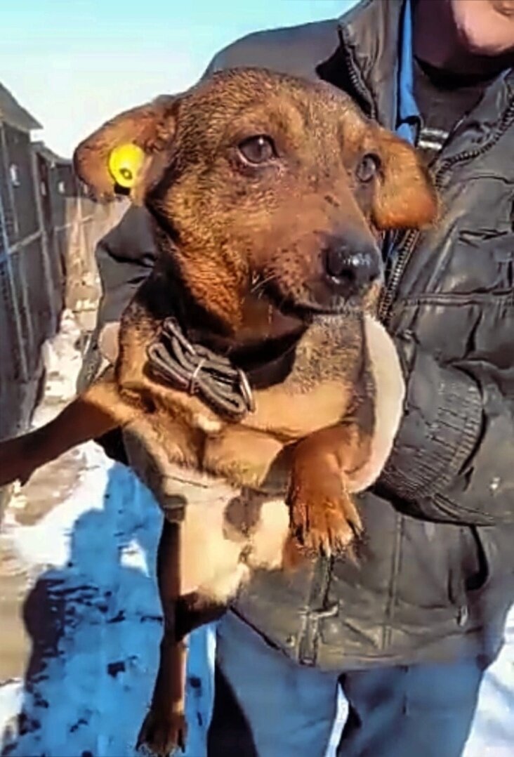 Мелкашей жальче всего, они такие без помощные в нашем мире