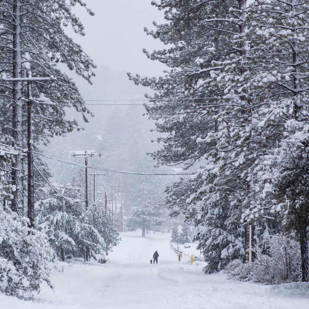 Сильный снегопад недалеко от Пайн Маунтин Клаб, Калифорния, в пятницу.Кредит...Дженна Шенефельд для New York Times.