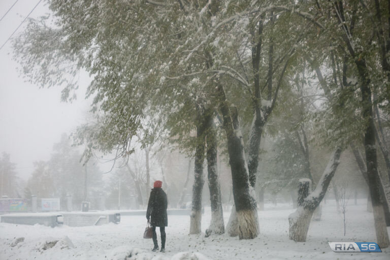    В Оренбуржье днем 26 февраля ожидается небольшой снег, метель и потепление до -2 градусов Андрей Севостьянов