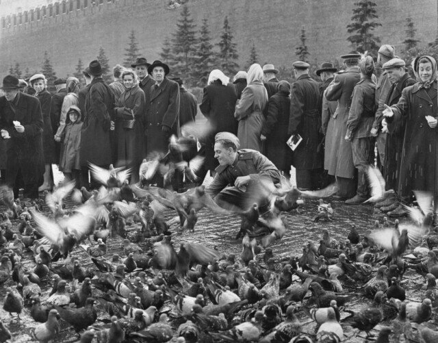 Красная площадь, Москва, 1947. Фотограф Дмитрий Бальтерманц