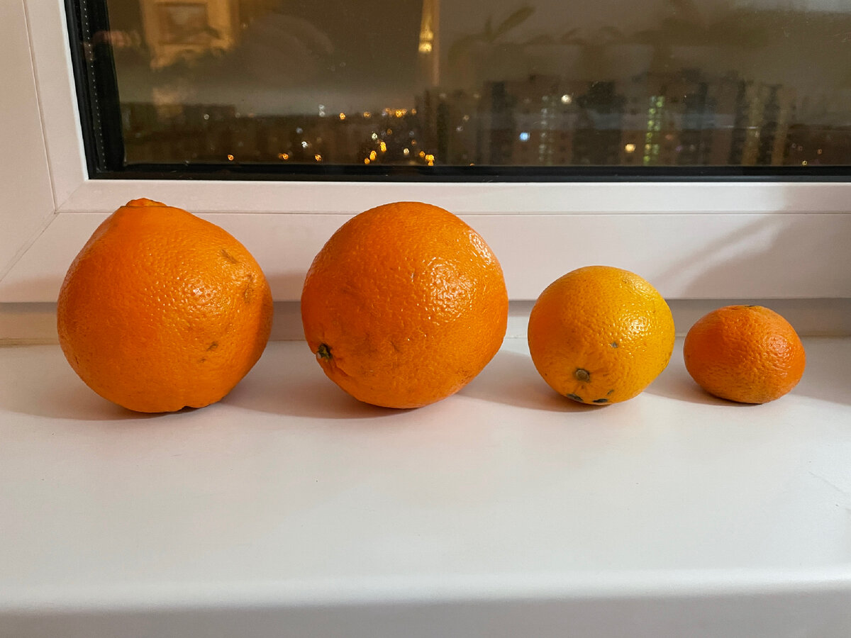 Сравнение