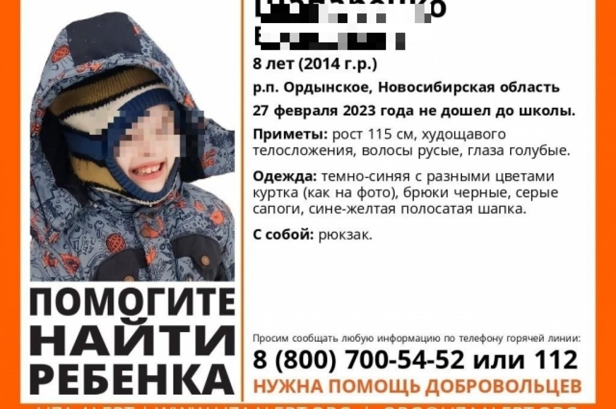    Под Новосибирском прекратили поиски восьмилетнего мальчика