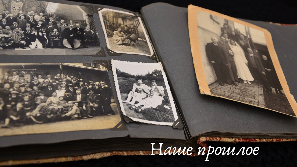 Фото сделано в программе Canva