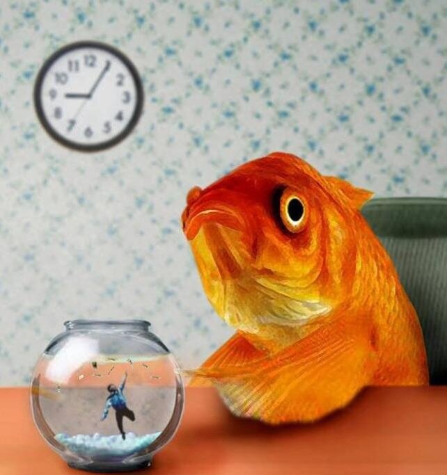 Фото Яндекс картинки