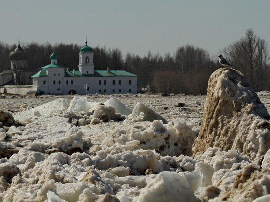     Ледоход на Великой в Пскове, апрель 2013-го.Фото: архив ПЛН