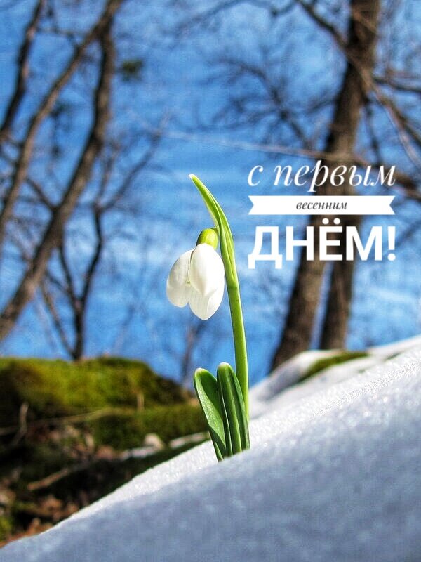 Я прям ждала #весну 🌷 потому что всего-то плюс 92 дня и #ЛЕТО 😁🍓

На самом деле, #планынамарт 🍃 и на все 3 месяца огромные.

🔥 1. Беру #аскезу на 21 отказа от #кофе☕  Тяжело будет, но мне это необходимо💪

🔥 2. Дина. Хочет #читать 📚 еще быстрее, ну а я буду ей помогать, контролировать скорость и "подпиннывать"😁 читать ежедневно.

🔥 3. Я так хорошо #похудела в январе, а вот за #февраль набрала чуть-чуть ⏲ Надо скинуть пару кг. В общем, спорт🏋️‍♀️ (который я не люблю😒) и #правильноепитание 🥬🥦🥒🥗 (с этим мне, конечно, легче😁)

🔥 4. Моё #чтение 📚 Ооочень большой список книг, которые надо прочитать. Успеть до лета бы😎

🔥 5. #работа 🔮 Меня сейчас хватает на моих любимых #клиентов 😍 и на #новоеобучение 🤓 Соцсети заброшены😥 ... это надо исправлять.

Это общие #планынавесну 🍃🌷 И еще 
100 000 идей, мечтаний🌠, желаний🙏 и хотелок😁

Обняла Вас и БУДЬТЕ СЧАСТЛИВЫ🙏❤ (#сознание творит бытиё... проверю за 3 месяца так ли это🧐😁)