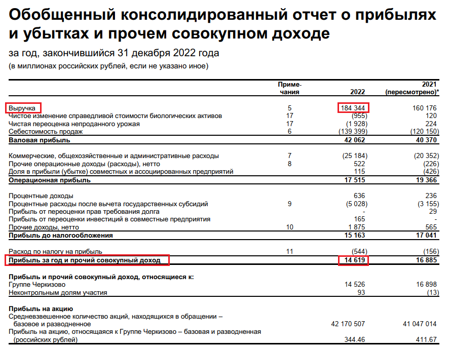 Отчёт Черкизово за 2022 г.