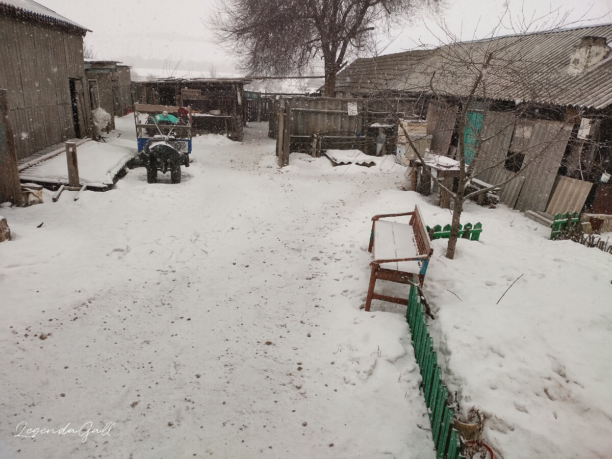Ну и где посыпанные дорожки?