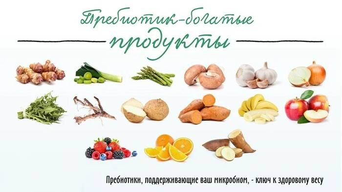 Чем заменить пребиотики в домашних условиях