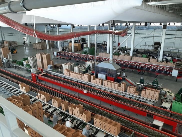 Листайте вправо, чтобы увидеть больше изображений