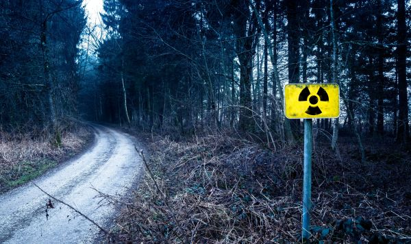 © pexels / Nejc Košir