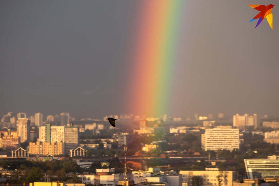     Дублером главы Октябрьского района Минска станет студент Академии управления. Павел МАРТИНЧИК