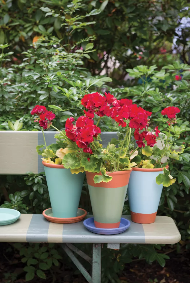 Уход за зеленью: советы новичкам