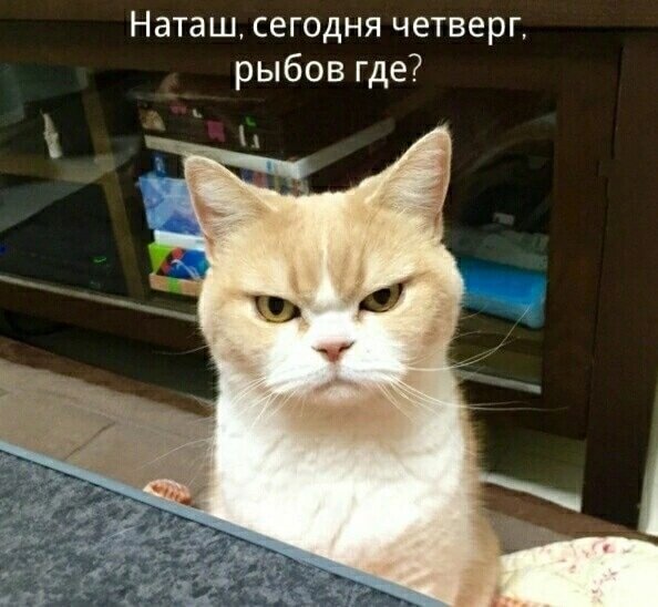 иллюстрация из яндекс картинки.