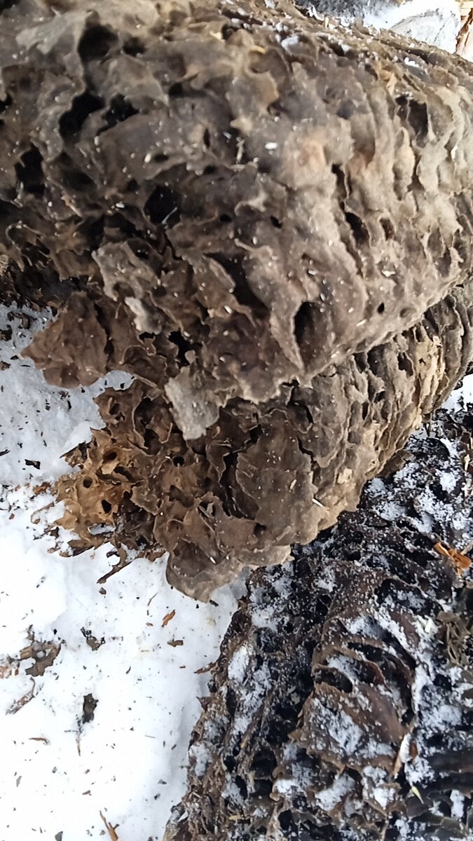 Итак, что же это? 