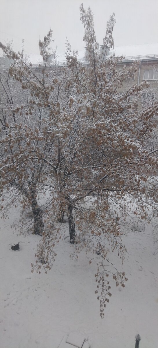 Русская весна 