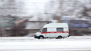    Фото: stihi.ru Ирина Кипшидзе