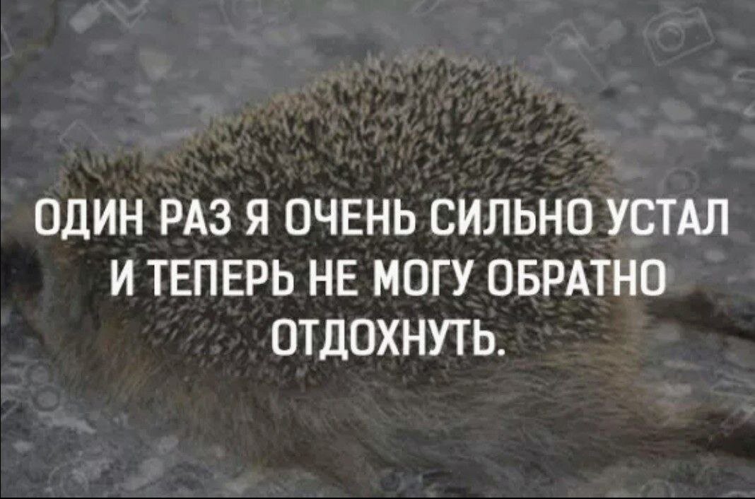 Ну устал. Афоризмы про усталость. Высказывания про усталость. Я очень сильно кюустал. Высказывания про усталость смешные.