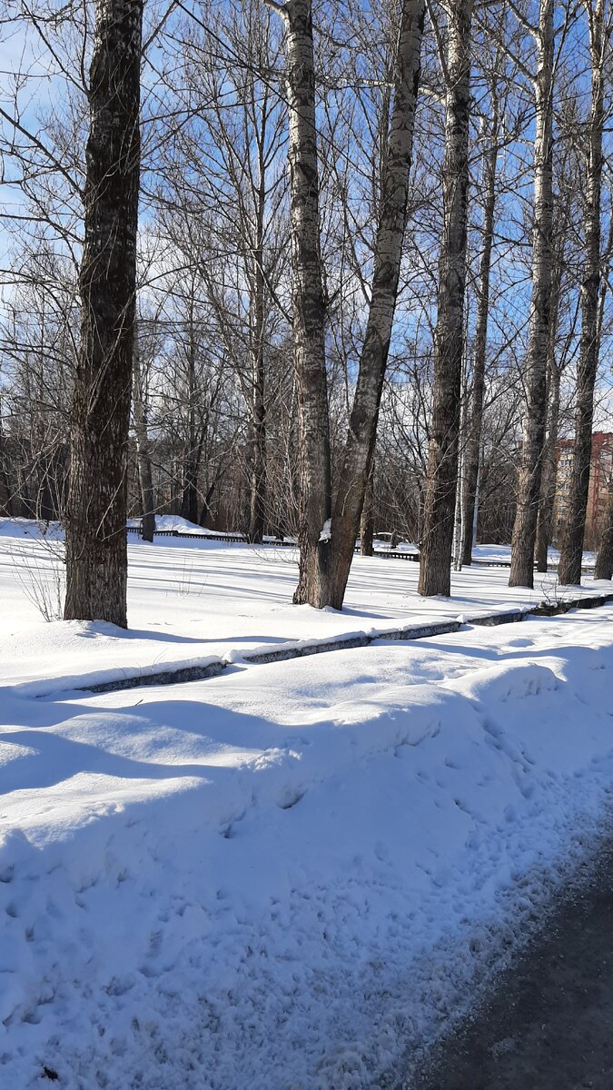 Ровная черта, это заборчик 🤗