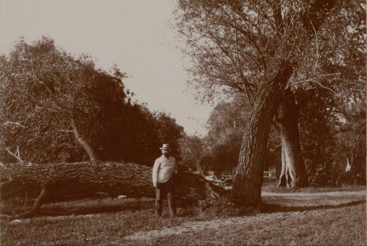 Князь Николай Сергеевич Щербатов в парке. Братцево