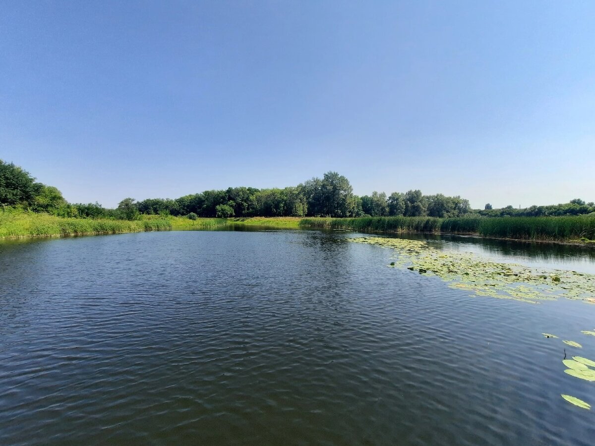 Река Хопер в Воронежской области