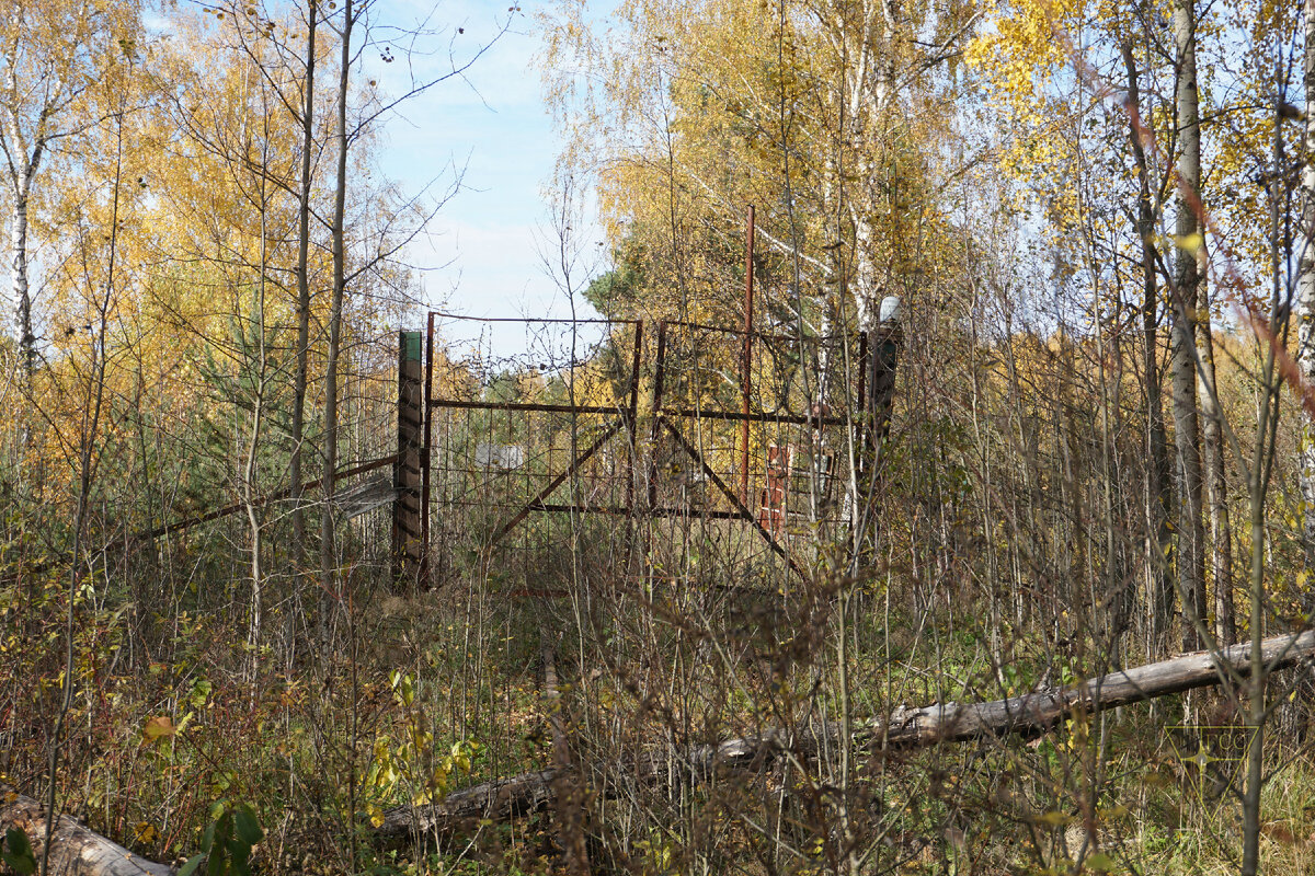 Мёртвая, но живописная ветка железной дороги в Подмосковье