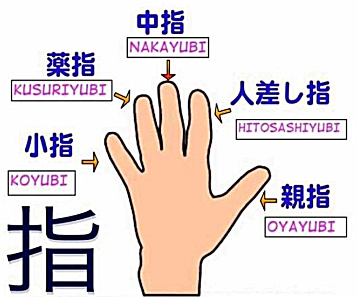 Толстяк, розовый, ушной... Как пальцы рук называются на других языках? |  ЛИТИНТЕРЕС | Дзен