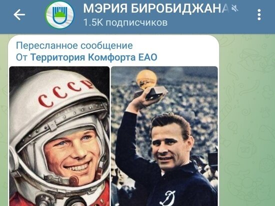     Биробиджанцы выбирают, чей портрет украсит город ФОТО: скрин