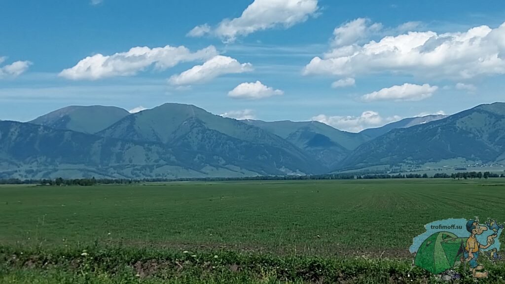 Уймонская степь, июль  📷
