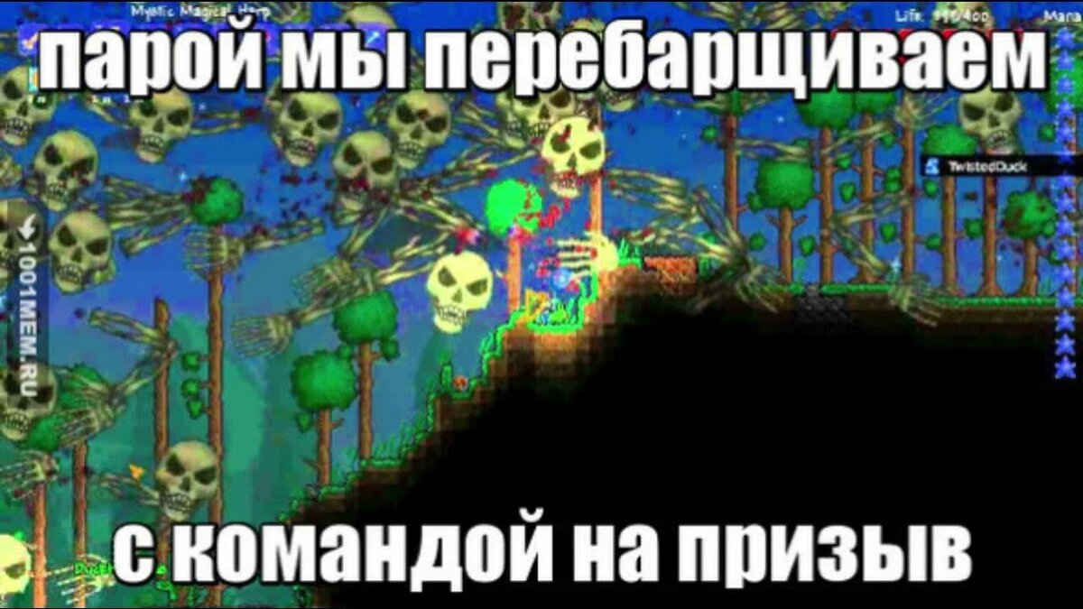 Смешные картинки террария