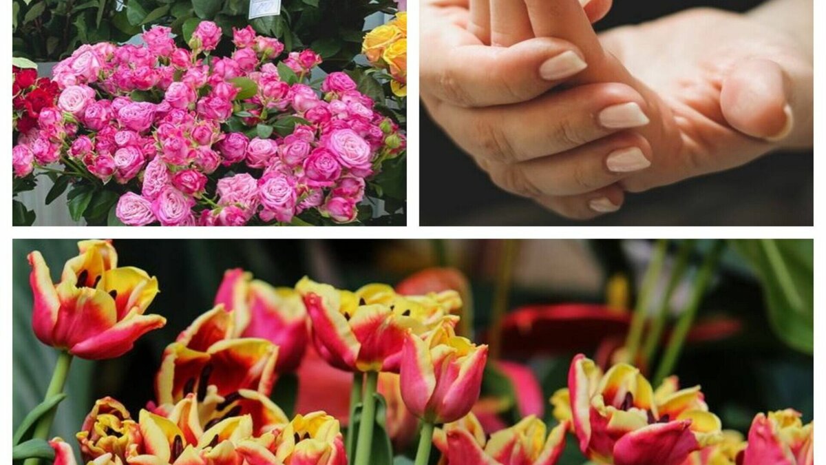     Полная афиша развлечений на предстоящий выходной. Анонс праздничных мероприятий в Ханты-Мансийске, Нижневартовске и Сургуте.