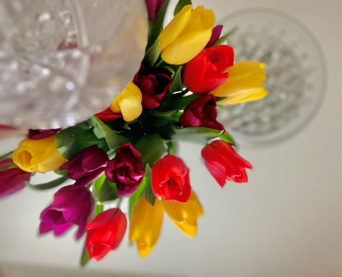 Нет прекраснее цветов весной 