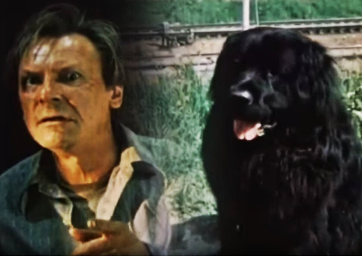 Кадры из к/ф "Друг" (скриншоты взяты для иллюстрации)