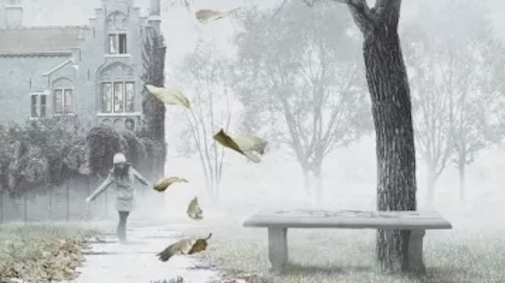 Обложка книги Кадзуо